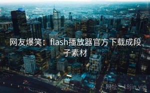 网友爆笑:flash播放器官方下载成段子素材