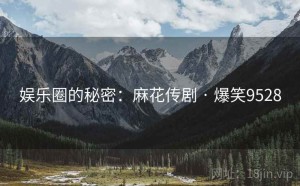 娱乐圈的秘密:麻花传剧 · 爆笑9528