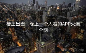 梗王出圈:晚上一个人看的APP火遍全网